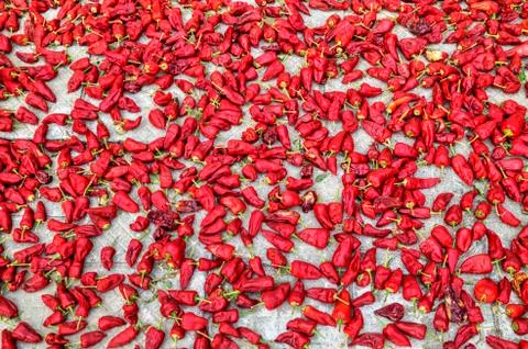 Drying red pepper Stock Photos