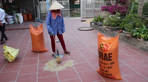 Drying rice at home, packing 库存影片 45918926