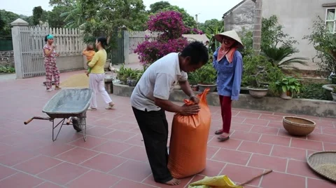 Drying rice at home, packing 스톡 동영상 45918939