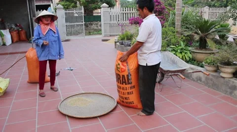 Drying rice at home, packing Stock Footage 45918954