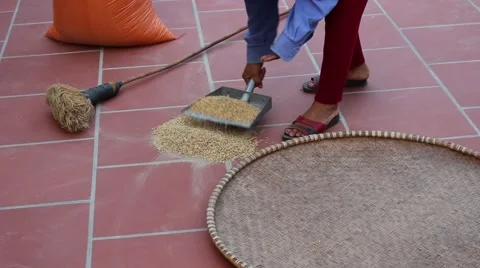 Drying rice at home, packing Vídeo Stock 45918966
