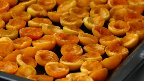 Drying the ripe apricots in the sun, 動画素材 112601386