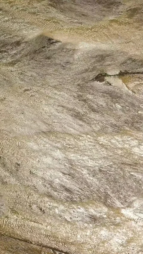 Drying river bed. Philippines. Vertical video. Stock Footage 241572453