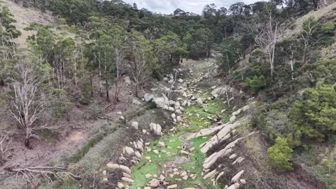 Drying river with mossy rocks Video stock 336553449