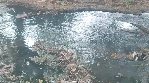 Drying River With Remaining Water Flow Stock Footage 340604689