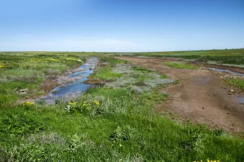 A drying river in the spring steppe Stock Photos