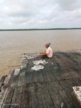 Drying salted fish Stock Photos