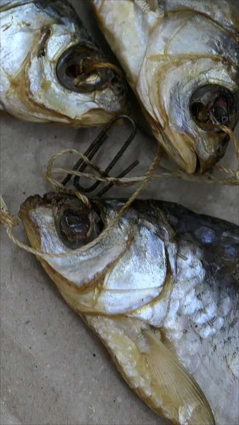 Drying Salted Fish. Slider Shot. Top View. Vertical. Stock-Footage 276316910