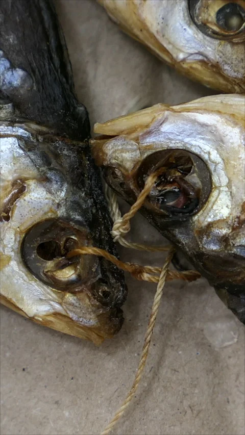 Drying Salted Fish. Slider Shot. Top View. Vertical. Stock Footage 276491818