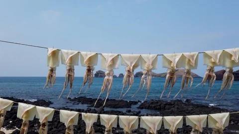 Drying squid in the wind Video stock 123142873