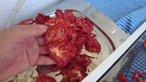 Drying tomatoes in the sun, finely chopped tomatoes are dried on the balcony, Stock Footage 282897468
