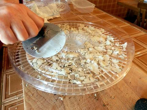 Drying Truffles Stock Photos
