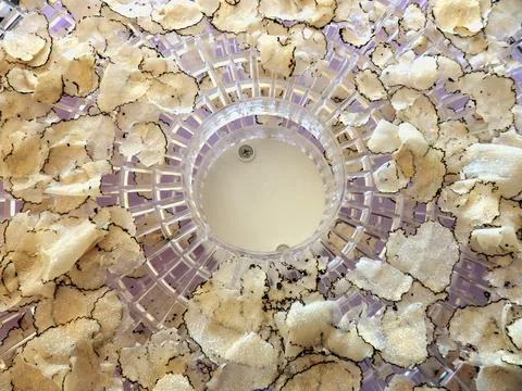 Drying Truffles Stock Photos