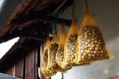 Drying walnuts Stock Photos