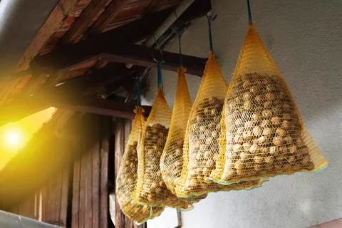 Drying walnuts Stock Photos