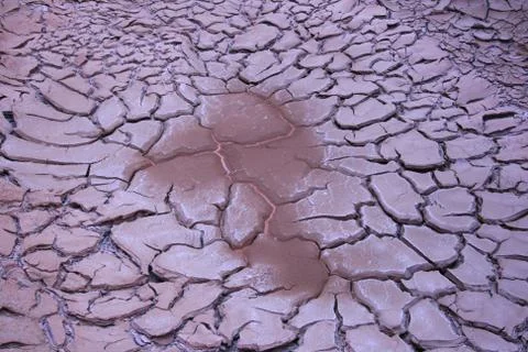 Drying water hole Stock Photos