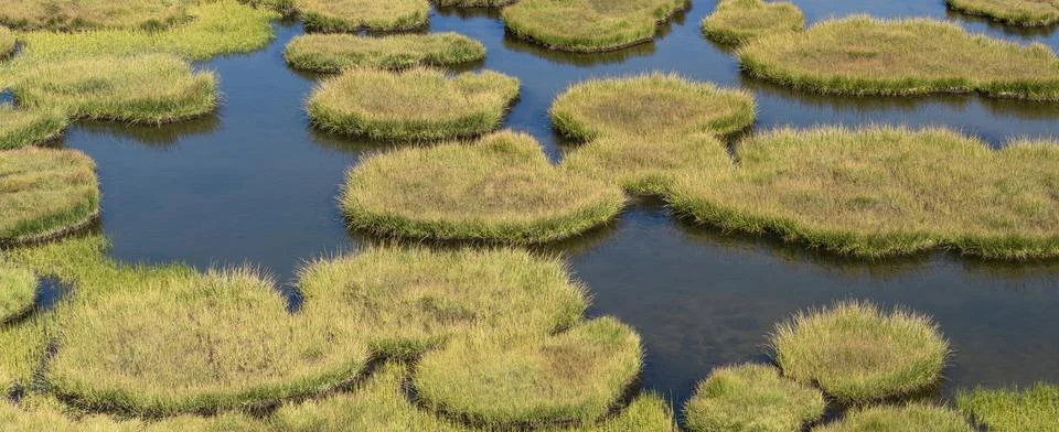 Drying water surface Foto stock