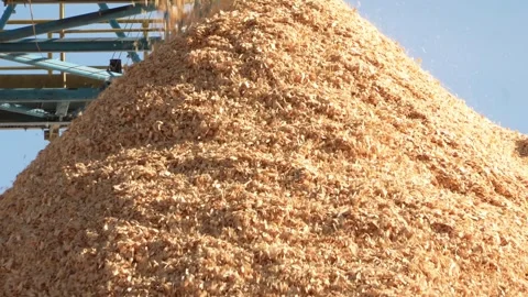 Drying of wood chips. Paper production. Forest industry Stockbeeldmateriaal 297635971