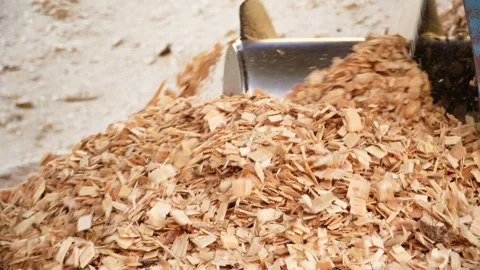 Drying of wood chips. Paper production. Forest industry Stockbeeldmateriaal 297655873