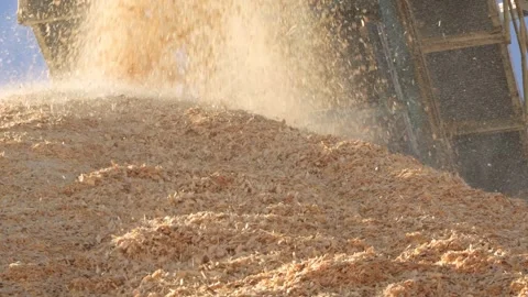 Drying of wood chips. Paper production. Forest industry Stockbeeldmateriaal 297656830