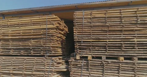 Drying Wood Naturally. the removal of water from wood with the sun and wind Stock Footage 166315874