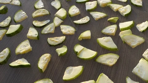 Drying zucchini, drying vegetables in the sun, dried zucchini, drying sliced  Video stock 205028555