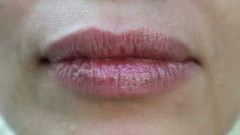 Drylips-1 Stock Footage 280374591