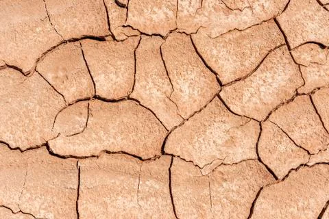 Dryness in the desert Foto stock