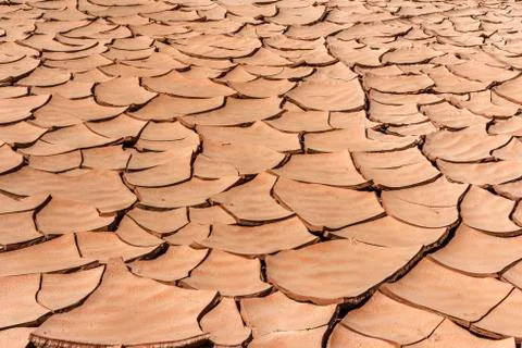 Dryness in the desert Free Stock Photos