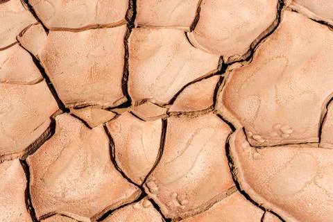 Dryness in the desert Foto stock