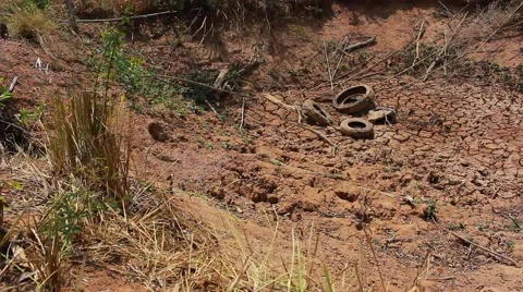 Dryness pond Stock Footage 49204537