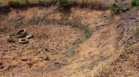 Dryness pond Stock Footage 49205770