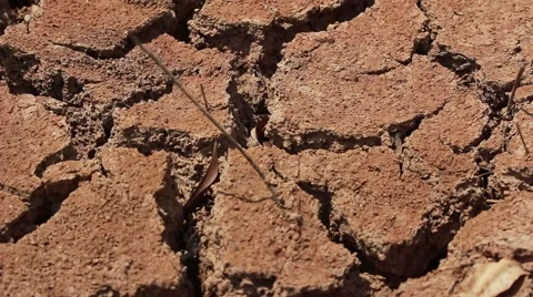 Dryness pond Stock Footage 49208338