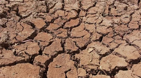 Dryness pond Stock Footage 49208591