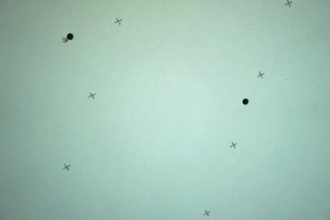 Drywall texture with two scruws in. Stock Photos