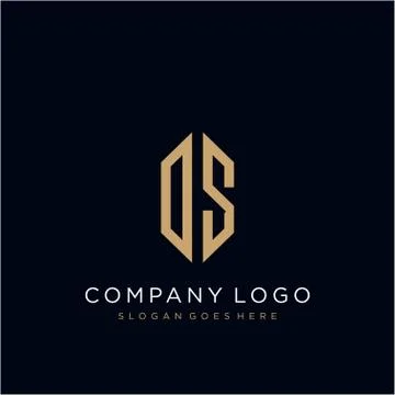 DS Letter logo icon design template elements 스톡 일러스트