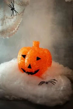 DSC 0023 Stock Photos