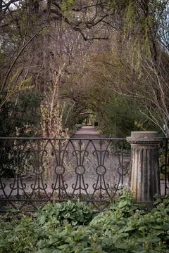 DSC 0026 스톡 사진