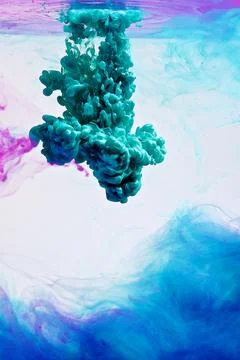 DSC 0108 스톡 사진