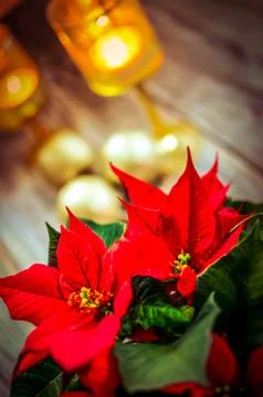 DSC 0122 Stock Photos