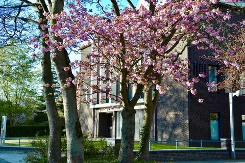 DSC 0149 Stock Photos