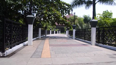 DSC 0168 스톡 동영상 258420713