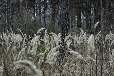 DSC 0341 Stock Photos