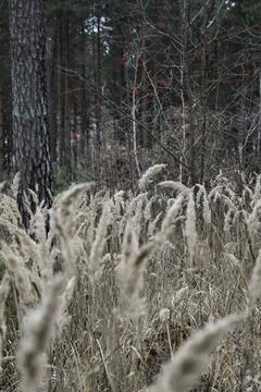 DSC 0345 Stock Photos