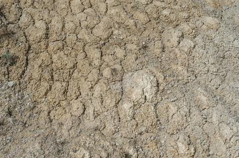 DSC 0482 Stock Photos