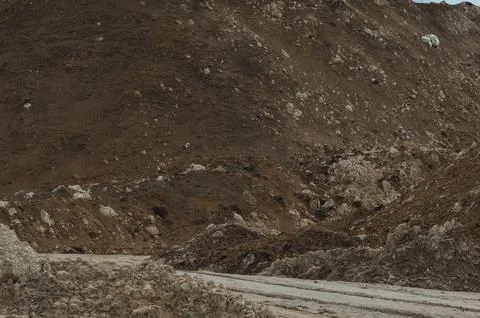 DSC 0489 Stock Photos