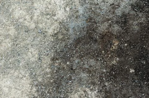 DSC 0519 Stock Photos