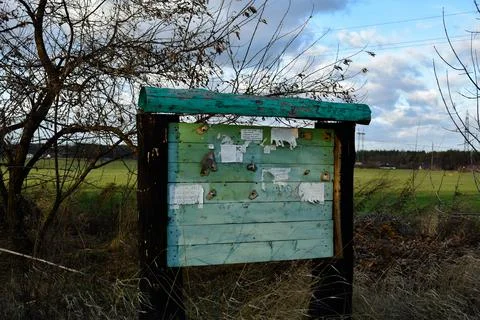 DSC 0571 写真素材