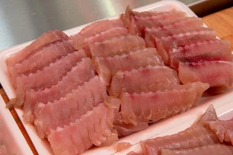 DSC 0585 Stock Photos