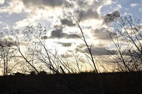 DSC 0616 Stock Photos